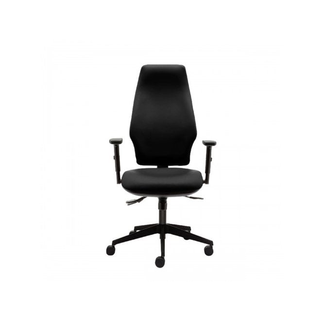 High back extra comfort task orthopaedica chair