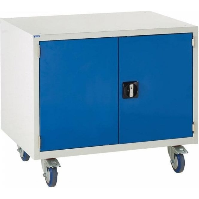 Under Bench Cupboard with 1 Shelf - H780 x W900 x D650mm - 1x550mm