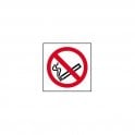 No Smoking Sign - Graphic Only 100 x 100mm - Self Adhesive Vinyl